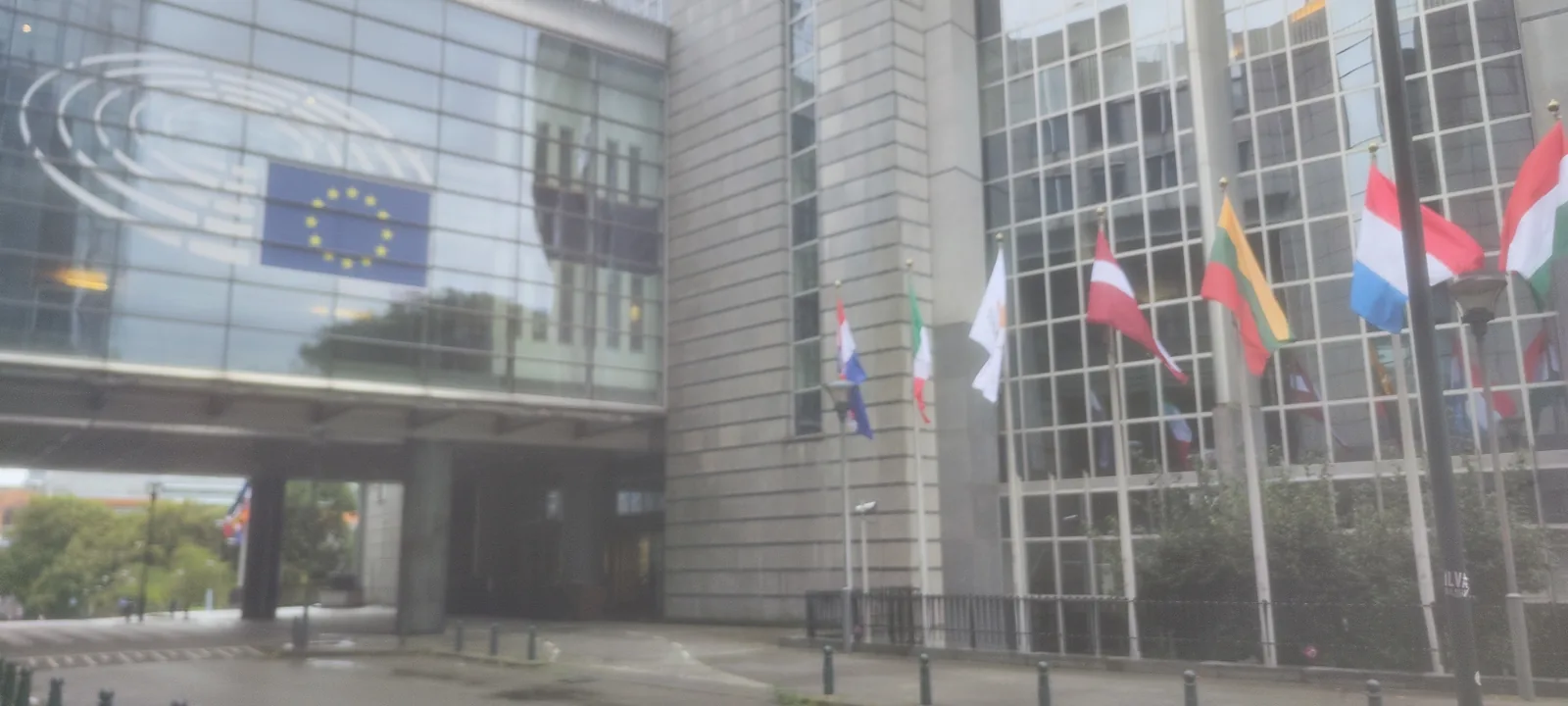 Budynek Parlamentu Europejskiego z flagami państw